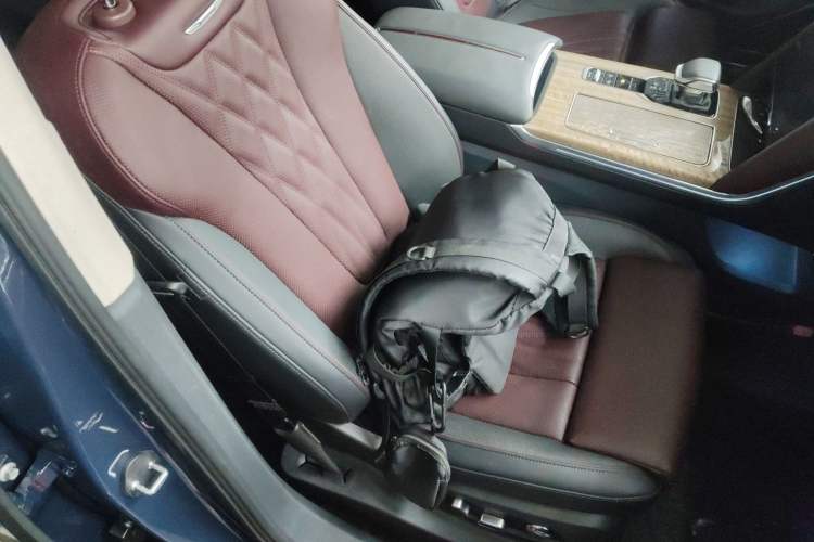 Used Hongqi HS7 2023 2.0T Automatic All-Wheel-Drive Flagship Edition Six Seats Right Front Seat