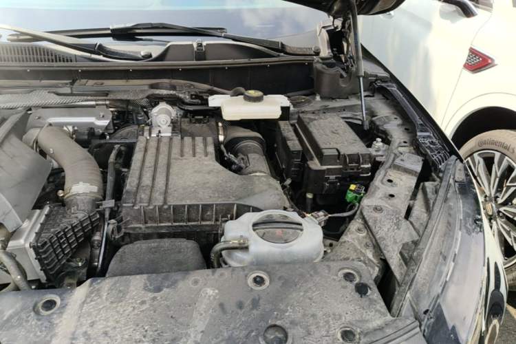 Used Hongqi HS7 PHEV 2024 2.0T PHEV Four-Wheel-Drive Flagship Edition 6 Seats Engine Bay Left