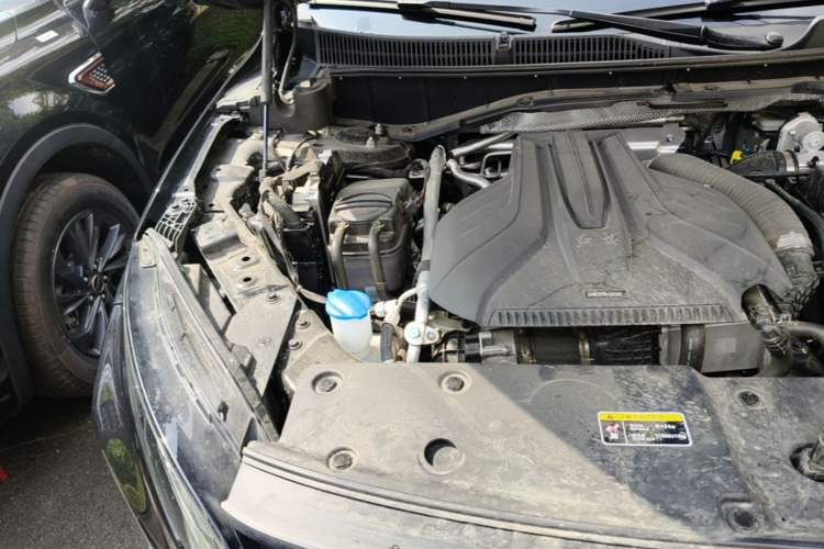 Used Hongqi HS7 PHEV 2024 2.0T PHEV Four-Wheel-Drive Flagship Edition 6 Seats Engine Bay Right