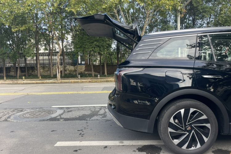 Used Hongqi HS7 PHEV 2024 2.0T PHEV Four-Wheel Drive Flagship Edition 6 Seats Exterior 8