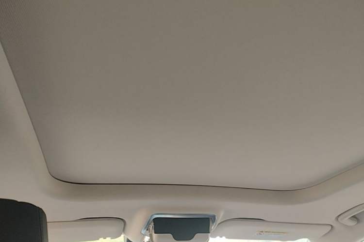 Used Hongqi HS7 PHEV 2024 2.0T PHEV Four-Wheel Drive Flagship Edition 7 Seats Headliner