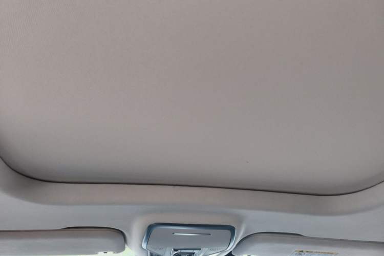 Used Hongqi HS7 PHEV 2024 2.0T PHEV Four-Wheel Drive Flagship Edition 6 Seats Headliner