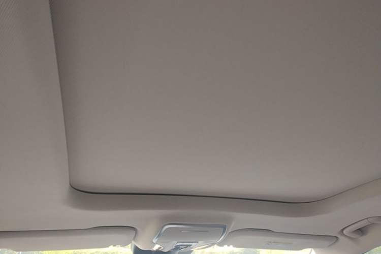Used Hongqi HS7 PHEV 2024 2.0T PHEV Four-Wheel Drive Flagship Edition 6 Seats Headliner