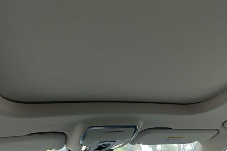 Used Hongqi HS7 PHEV 2024 2.0T PHEV Four-Wheel Drive Flagship Edition 6 Seats Headliner