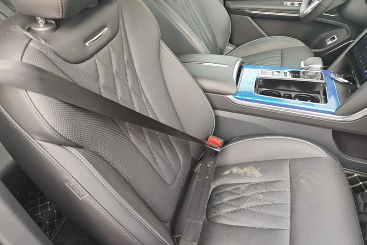 Used Hongqi HS7 PHEV 2024 2.0T PHEV Four-Wheel Drive Flagship Edition 6 Seats Right Front Seat