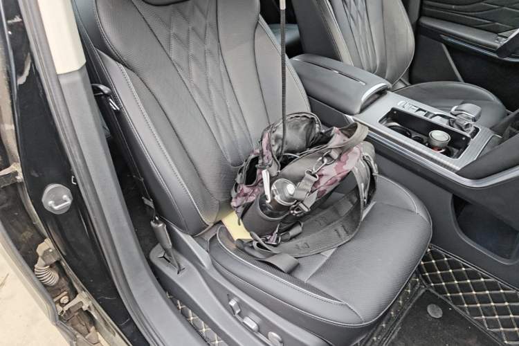 Used Hongqi HS7 PHEV 2024 2.0T PHEV Four-Wheel Drive Flagship Edition 7 Seats Right Front Seat