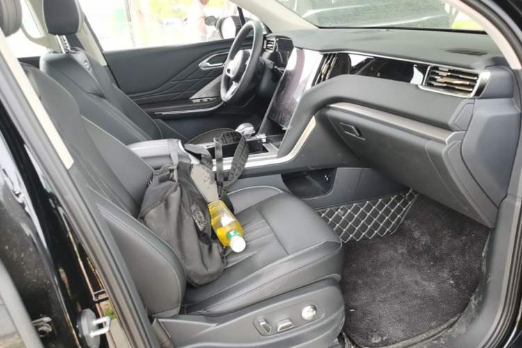Used Hongqi HS7 PHEV 2024 2.0T PHEV Four-Wheel Drive Flagship Edition 6 Seats Right Front Seat