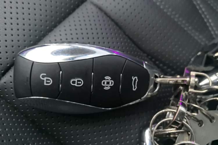 Used Hongqi HS7 PHEV 2024 2.0T PHEV Four-Wheel Drive Flagship Edition 6 Seats Vehicle Key