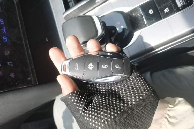 Used Hongqi HS7 PHEV 2024 2.0T PHEV Four-Wheel Drive Flagship Edition 7 Seats Vehicle Key