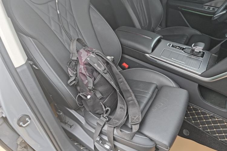 Used Hongqi HS7 PHEV 2024 2.0T PHEV Four-Wheel-Drive Flagship Edition 6 Seats Right Front Seat
