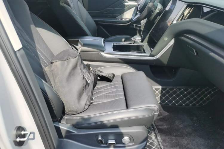 Used Hongqi HS7 PHEV 2024 2.0T PHEV Four-Wheel-Drive Flagship Edition 6 Seats Right Front Seat