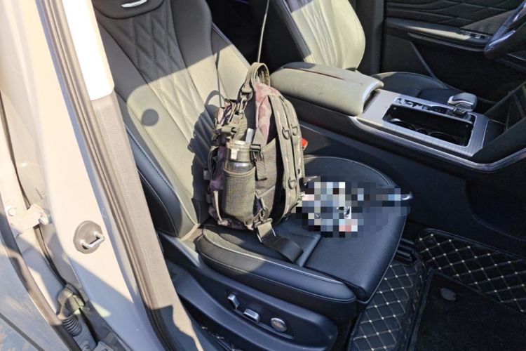 Used Hongqi HS7 PHEV 2024 2.0T PHEV Four-Wheel-Drive Flagship Edition 6 Seats Right Front Seat