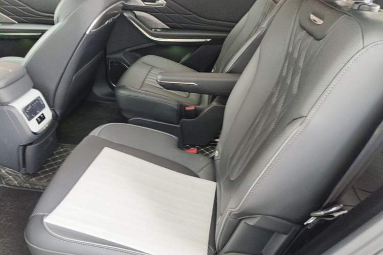 Used Hongqi HS7 PHEV 2024 2.0T PHEV Four-Wheel Drive Flagship Edition 6 Seats Left Rear Seat