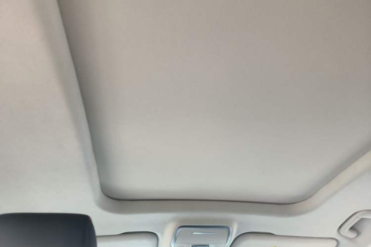 Used Hongqi HS7 PHEV 2025 Model 2.0T PHEV Four-Wheel Drive 2 Million Units Commemorative Edition 6-Seater Headliner