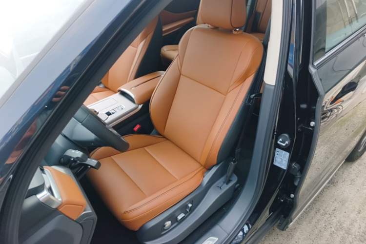 Used Hongqi HS7 PHEV 2025 Model 2.0T PHEV Four-Wheel Drive 2 Million Units Commemorative Edition 6-Seater Left Front Seat
