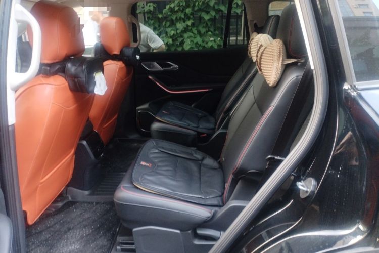 Used Hongqi HS7 PHEV 2025 Model 2.0T PHEV Four-Wheel Drive 2 Million Units Commemorative Edition 6-Seater Left Rear Seat