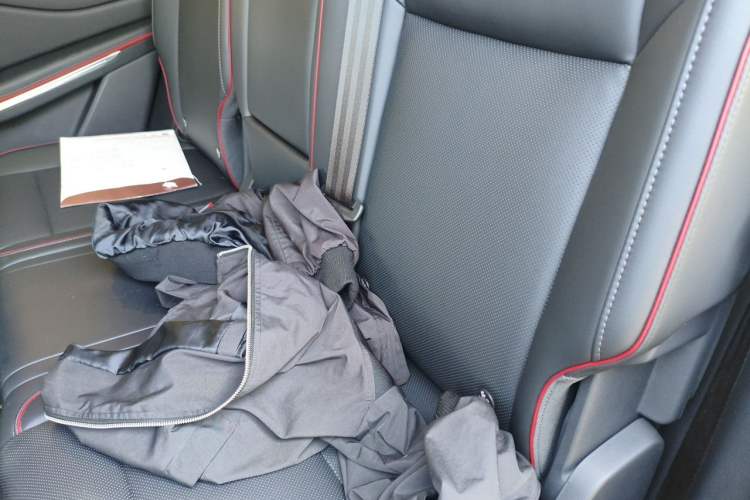 Used Hongqi HS7 PHEV 2025 Model 2.0T PHEV Four-Wheel Drive 2 Millionth Anniversary Edition—7 Seats Left Rear Seat