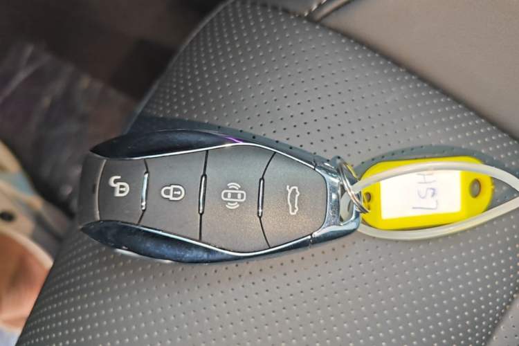 Used Hongqi HS7 PHEV 2025 Model 2.0T PHEV Two-Wheel Drive Qi Xiang Edition 7-Seater Vehicle Key