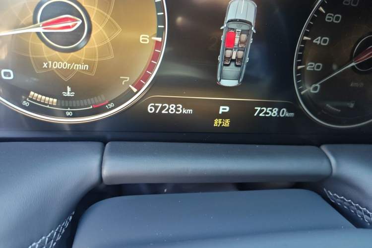 Used Hongqi LS7 2022 4.0T Prestige Flagship Edition 4 Seats Odometer Close Up