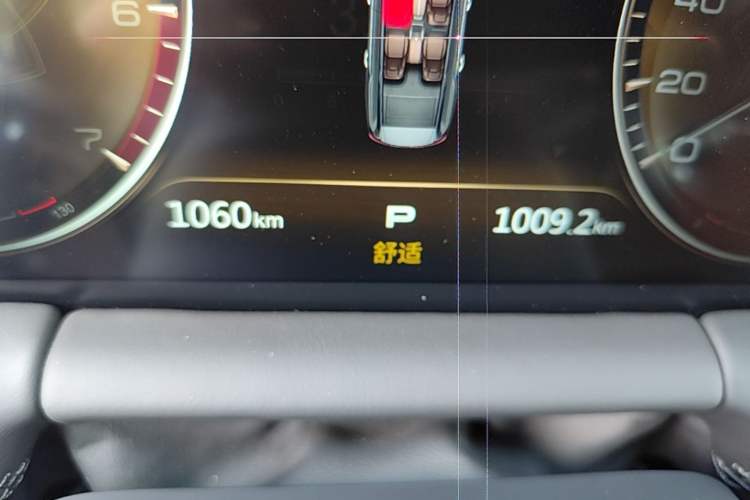 Used Hongqi LS7 2022 4.0T Prestige Flagship Edition 4 Seats Odometer Close Up
