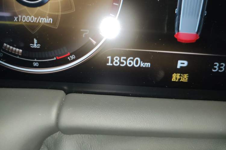 Used Hongqi LS7 2022 4.0T Prestige Flagship Edition 4 Seats Odometer Close Up
