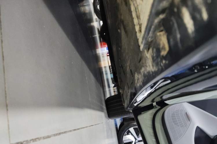 Used Hongqi Tiangong 05 2025 550 Smart Selection Right Side Sill