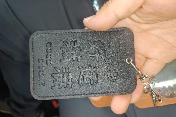 Used Hongqi Tiangong 05 2025 550 Smart Selection Vehicle Key