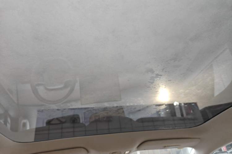 Used Hongqi Tiangong 05 2025 750 Edition Headliner