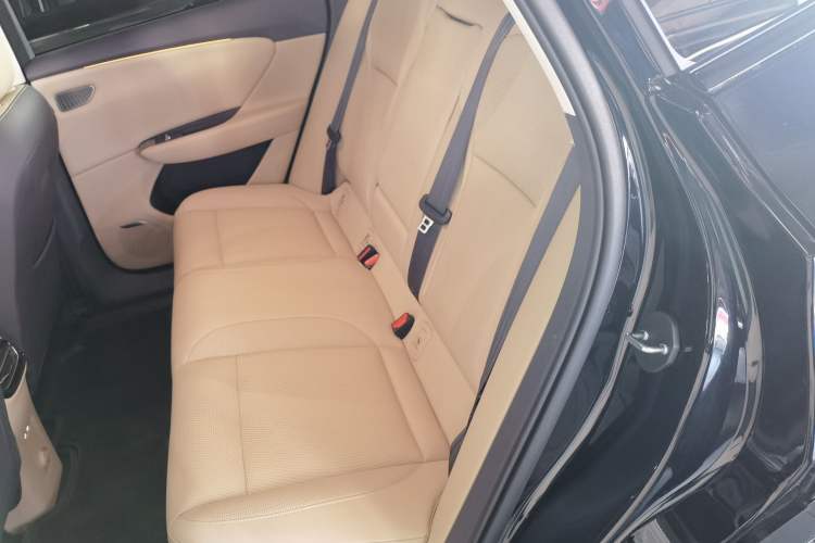 Used Hongqi Tiangong 06 2025 520 Smart Selection Edition Left Rear Seat