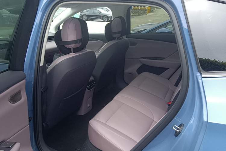 Used Hongqi Tiangong 06 2025 660 4x4 Smart Selection Edition Left Rear Seat
