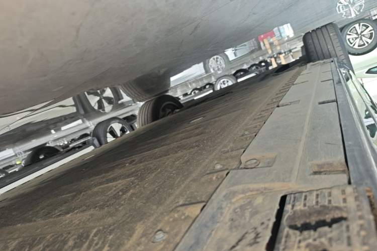 Used Hongqi Tiangong 06 2025 660 4x4 Smart Selection Edition Left Side Sill