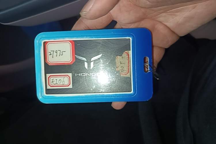 Used Hongqi Tiangong 06 2025 660 4x4 Smart Selection Edition Vehicle Key