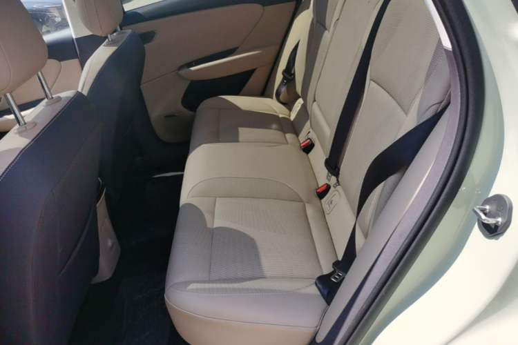 Used Hongqi Tiangong 06 2025 520 Smart Selection Edition Left Rear Seat