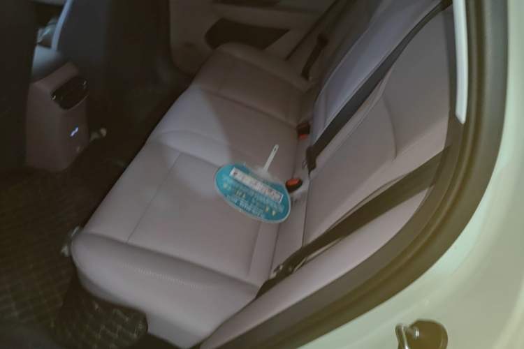 Used Hongqi Tiangong 06 2025 520 Smart Selection Edition Left Rear Seat
