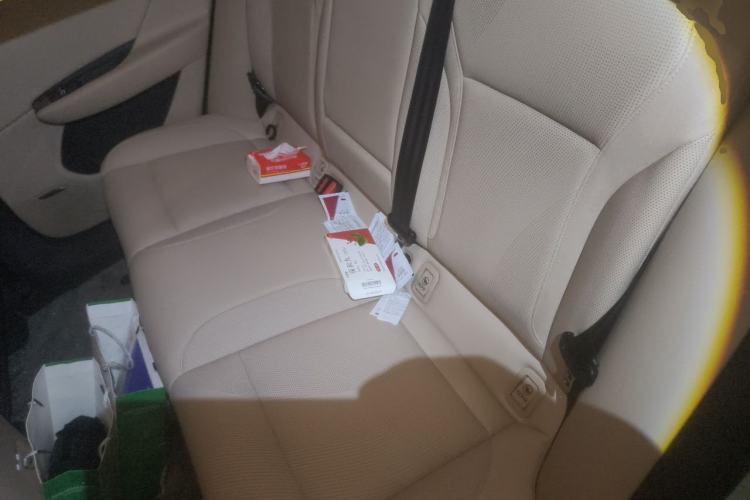 Used Hongqi Tiangong 06 2025 520 Smart Selection Edition Left Rear Seat