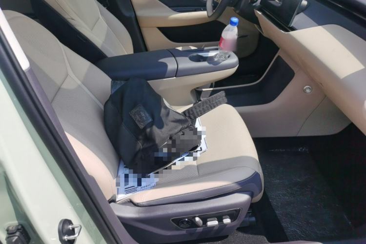 Used Hongqi Tiangong 06 2025 520 Smart Selection Edition Right Front Seat
