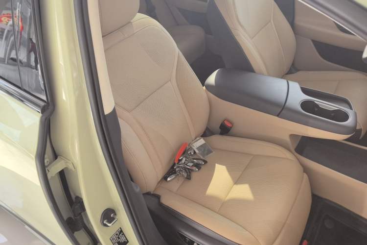 Used Hongqi Tiangong 06 2025 520 Smart Selection Edition Right Front Seat