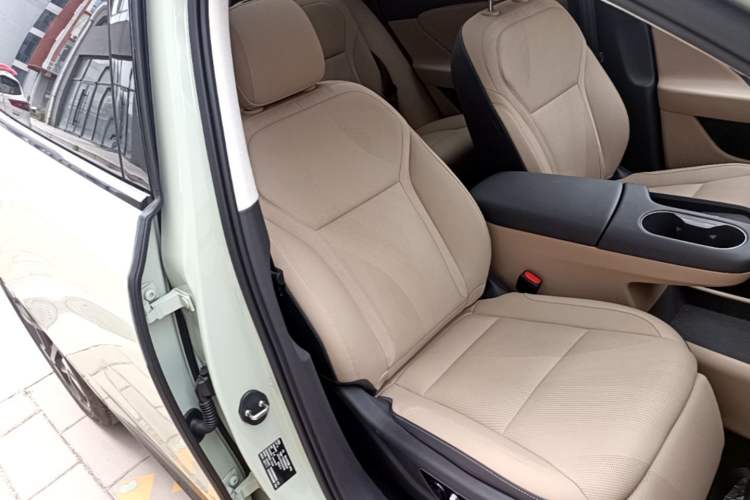 Used Hongqi Tiangong 06 2025 520 Smart Selection Edition Right Front Seat