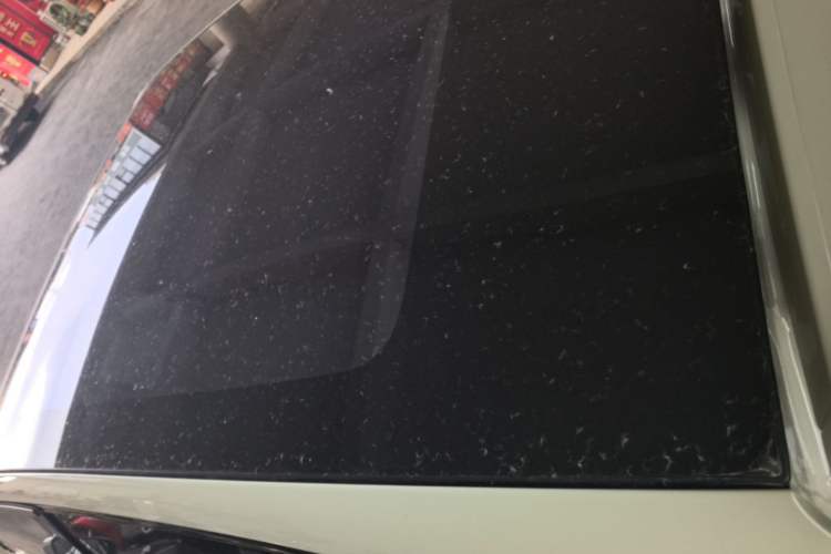 Used Hongqi Tiangong 06 2025 520 Smart Selection Edition Roof