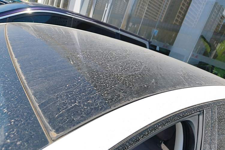 Used Hongqi Tiangong 06 2025 520 Roof