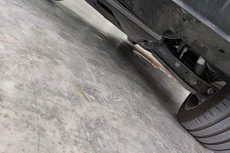 Used Hongqi Tiangong 08  Chassis Rear Right