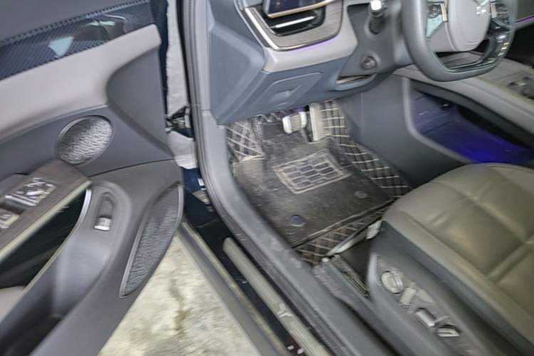 Used Hongqi Tiangong 08  Driver Seat