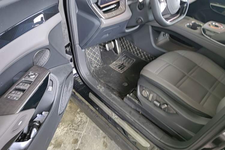 Used Hongqi Tiangong 08  Driver Seat