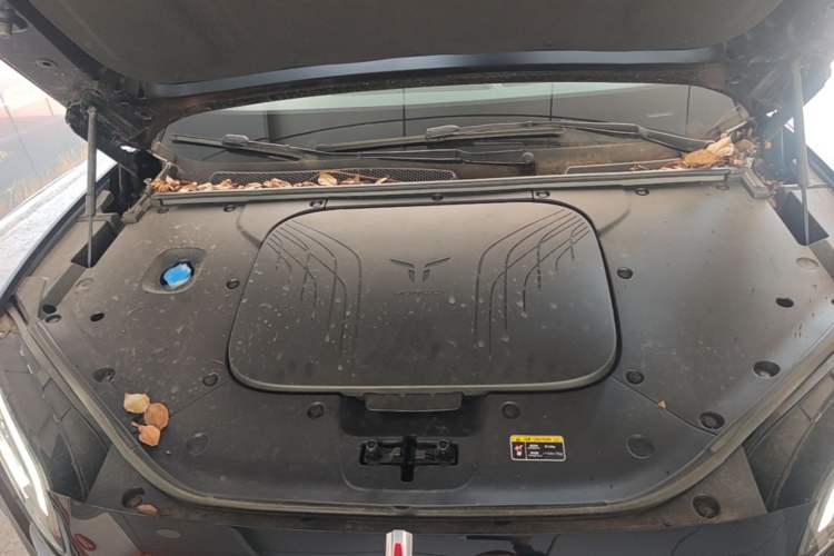 Used Hongqi Tiangong 08  Engine Bay