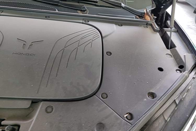 Used Hongqi Tiangong 08  Engine Bay Left