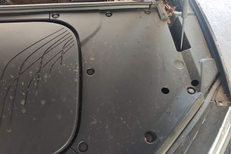 Used Hongqi Tiangong 08  Engine Bay Left