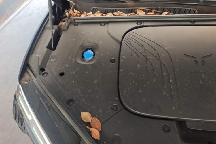 Used Hongqi Tiangong 08  Engine Bay Right