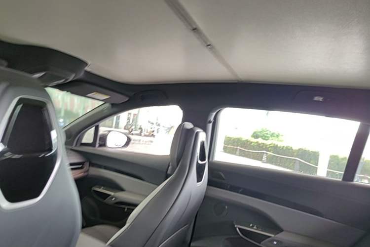 Used Hongqi Tiangong 08  Headliner