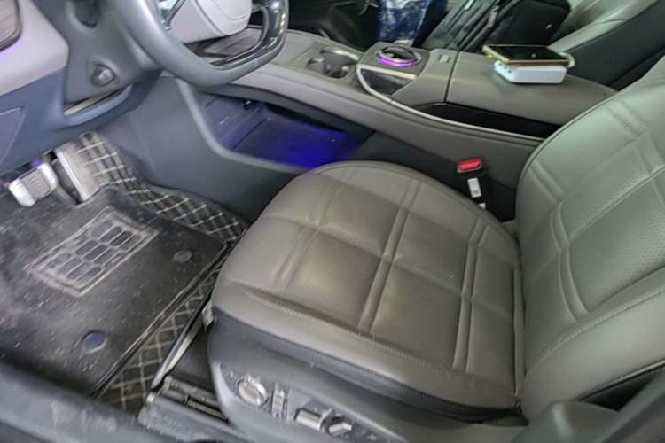 Used Hongqi Tiangong 08  Left Front Seat