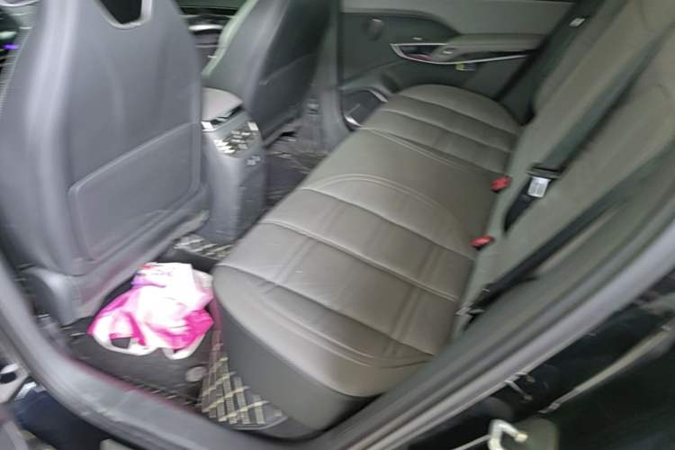 Used Hongqi Tiangong 08  Left Rear Seat